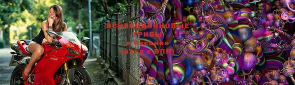 ECSTASY Лихославль